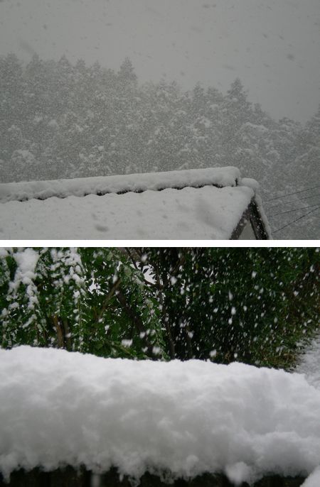 大雪！！