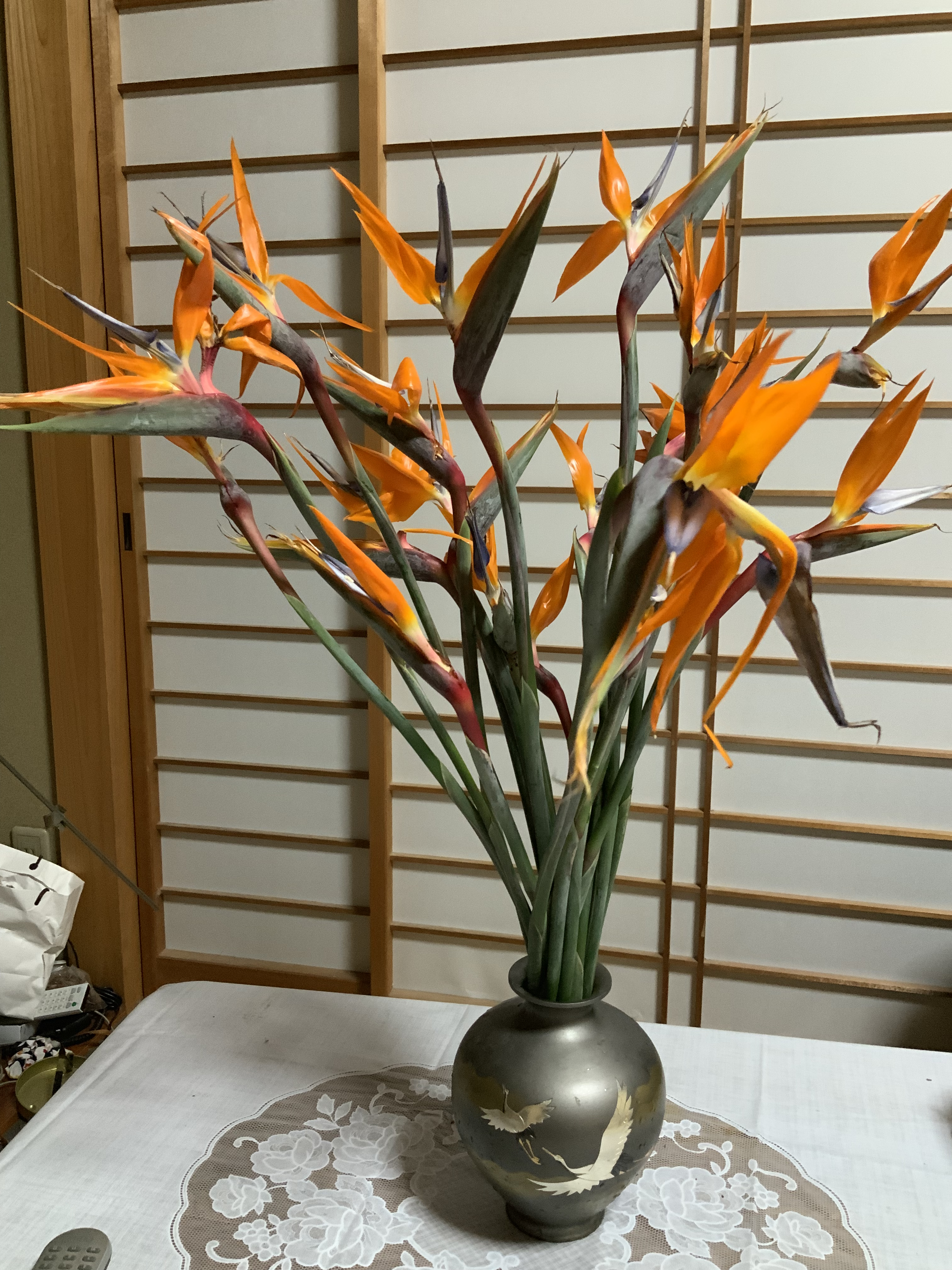 花の心得はありませんが生けてみました 熊本地震からの復興 ハーブ栽培 Bloguru