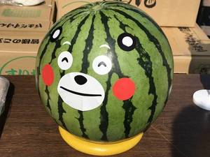 Bloguru Avatar