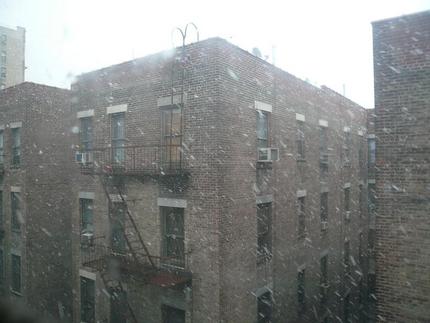 NYに初雪が降る。