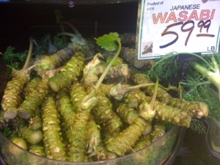 WASABI
