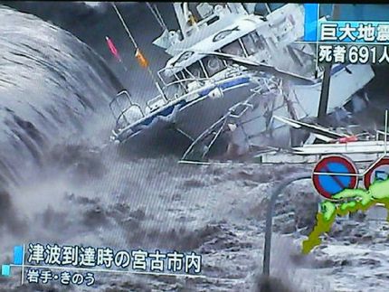 自然災害と人間