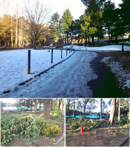 Running91(2013.1.20)