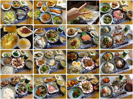 3月11日~3月23日【今日の...