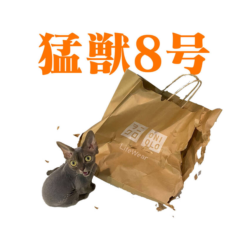 カリラちゃんで「猛獣8号」 非...