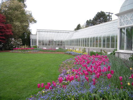Volunteer Park ...