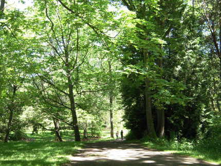 Washington Park Arboretum