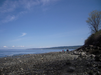 Golden Gardens ...