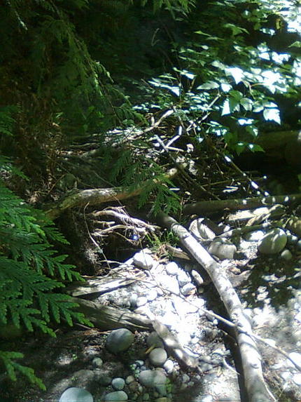 Carkeek Park 7/...