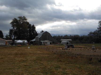 Skagit River Ra...