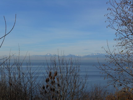 Carkeek Park 12/17/2011