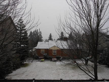 初雪～！1/14/2012