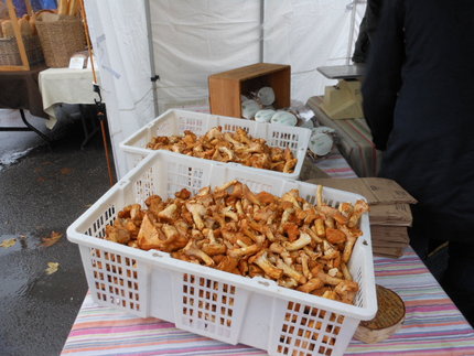 いつものキノコ屋さんにはシャン...