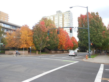 街路樹の紅葉がだいぶ進んできま...