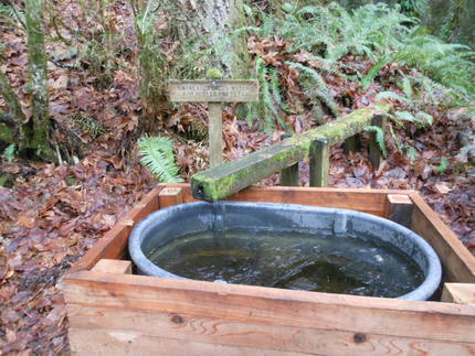 Cougar Mountain...