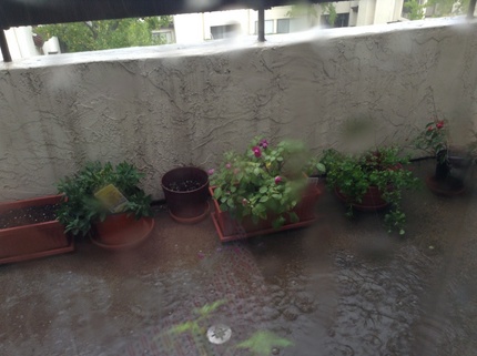 サンディエゴで雷雨 〜！(@_...