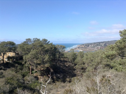 Torry Pines State Reserve 10/...