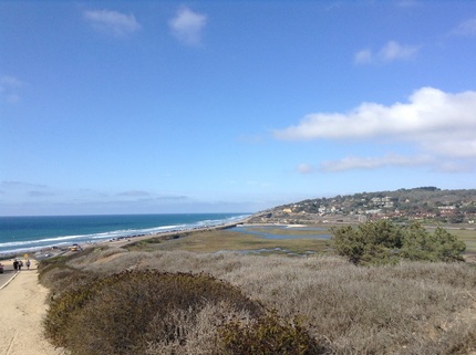 Torry Pines State Reserve 10/...