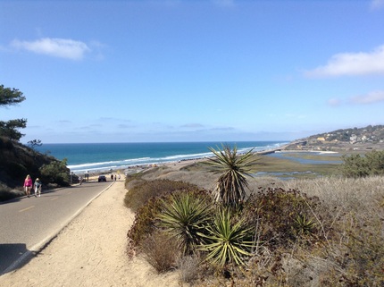 Torry Pines State Reserve 10/...