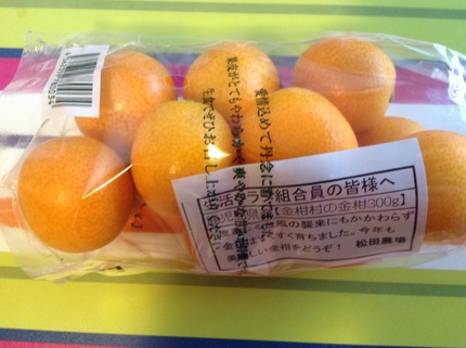 金柑生食中 2/8/2016