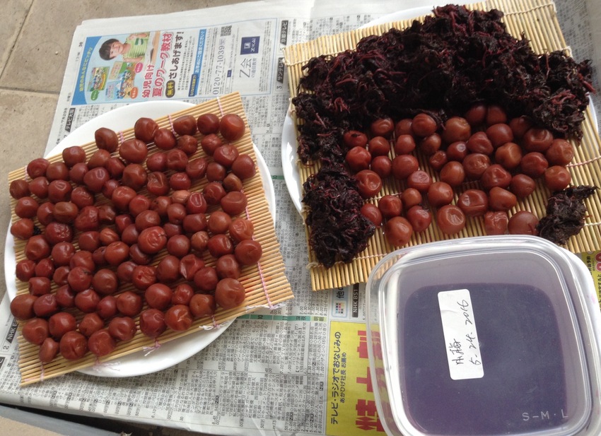2枚しかない巻き簾にびっしり。...