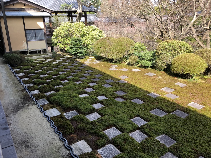 ウマスギゴケと敷石で作られた市...