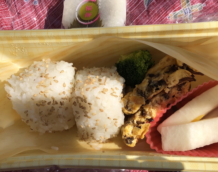 萩谷運動公園でランチ。小梅とお...