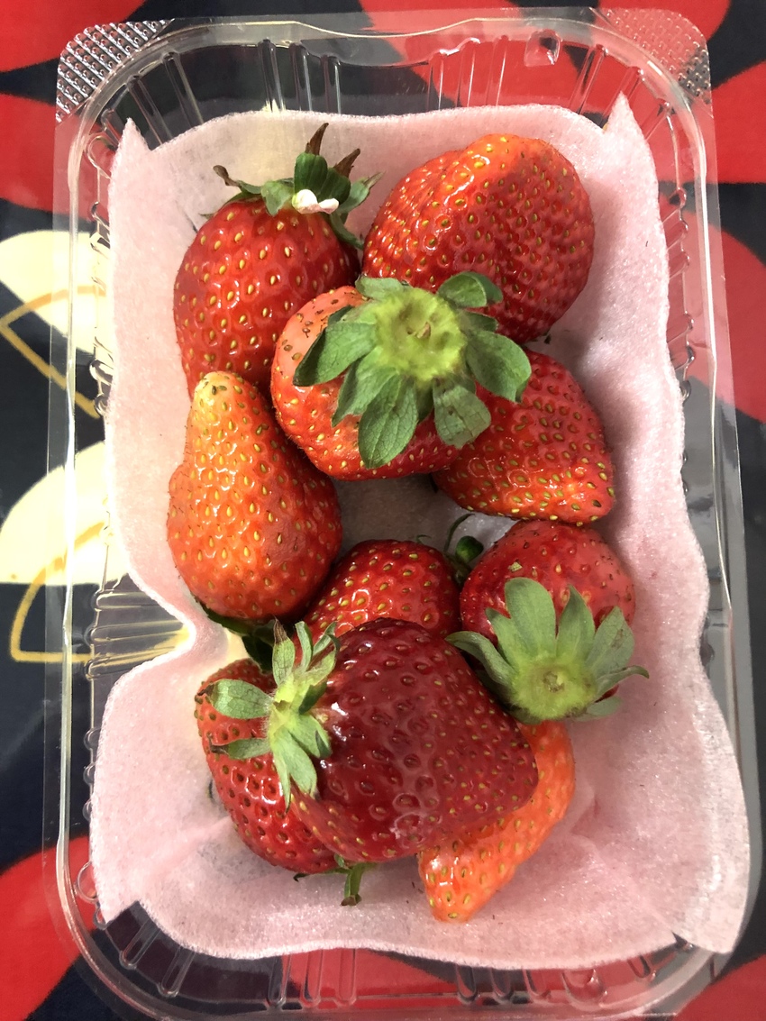とちおとめ❣️ 3/4/202...