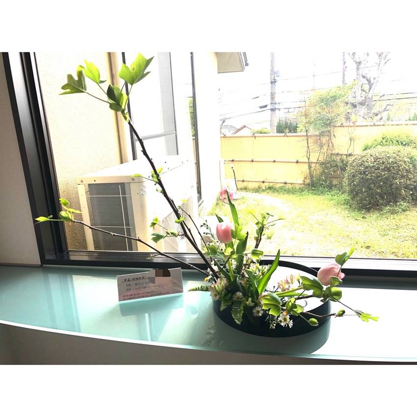 花材が判明しました　4/11/...