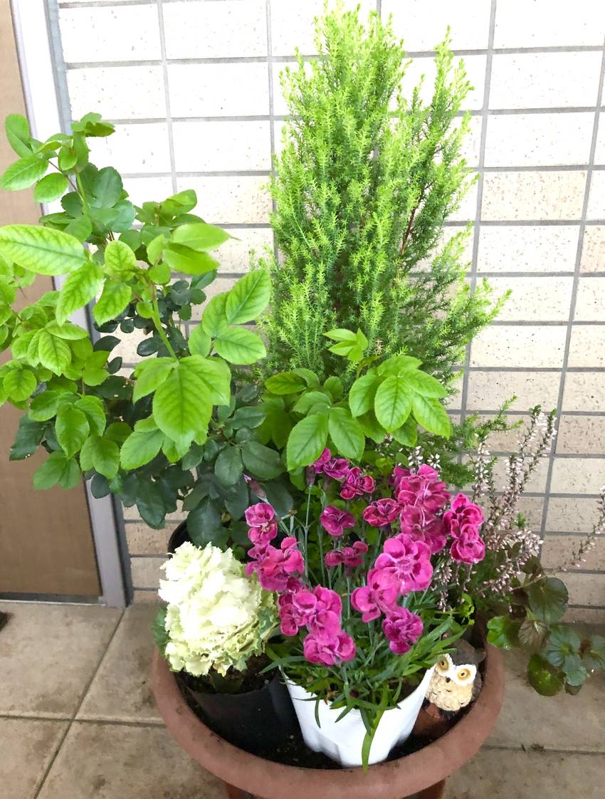 玄関のお花　4/12/2023