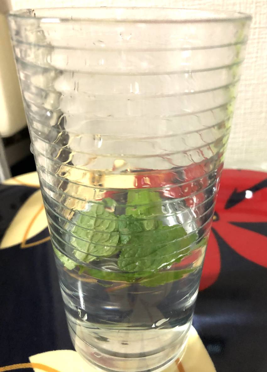 モヒートミント水　4/12/2...