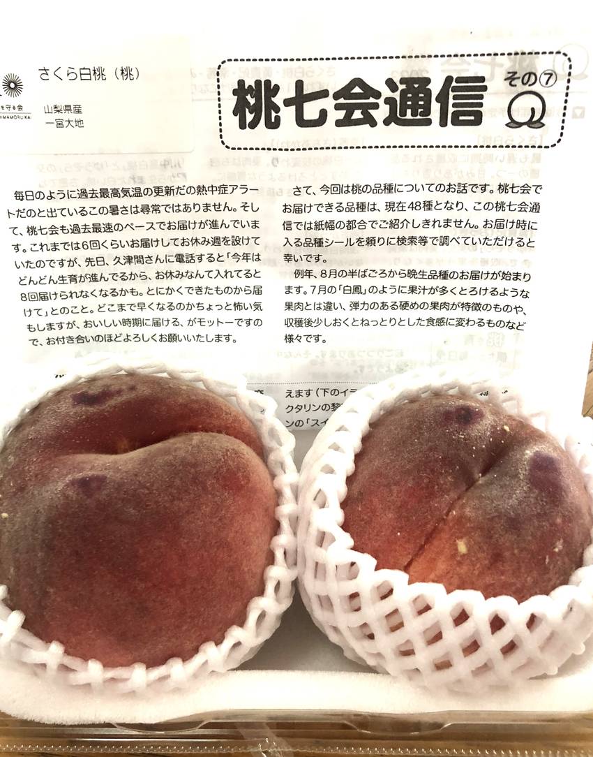 最後の桃？！9/8/2023