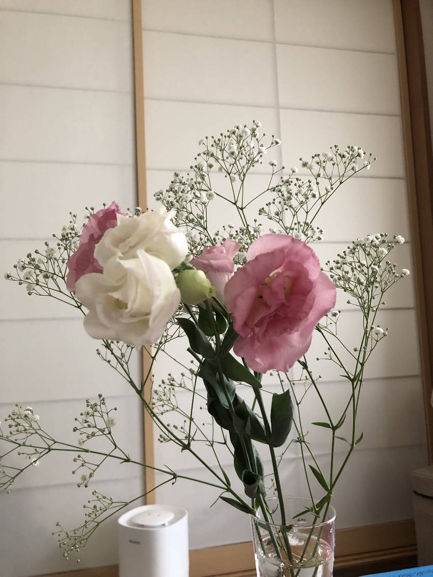 トルコキキョウと霞草　9/20...