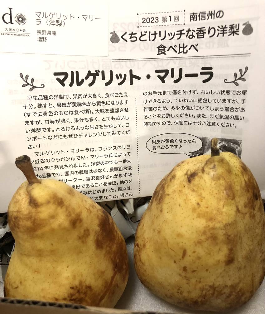 マルゲリット・マリーラ　9/2...