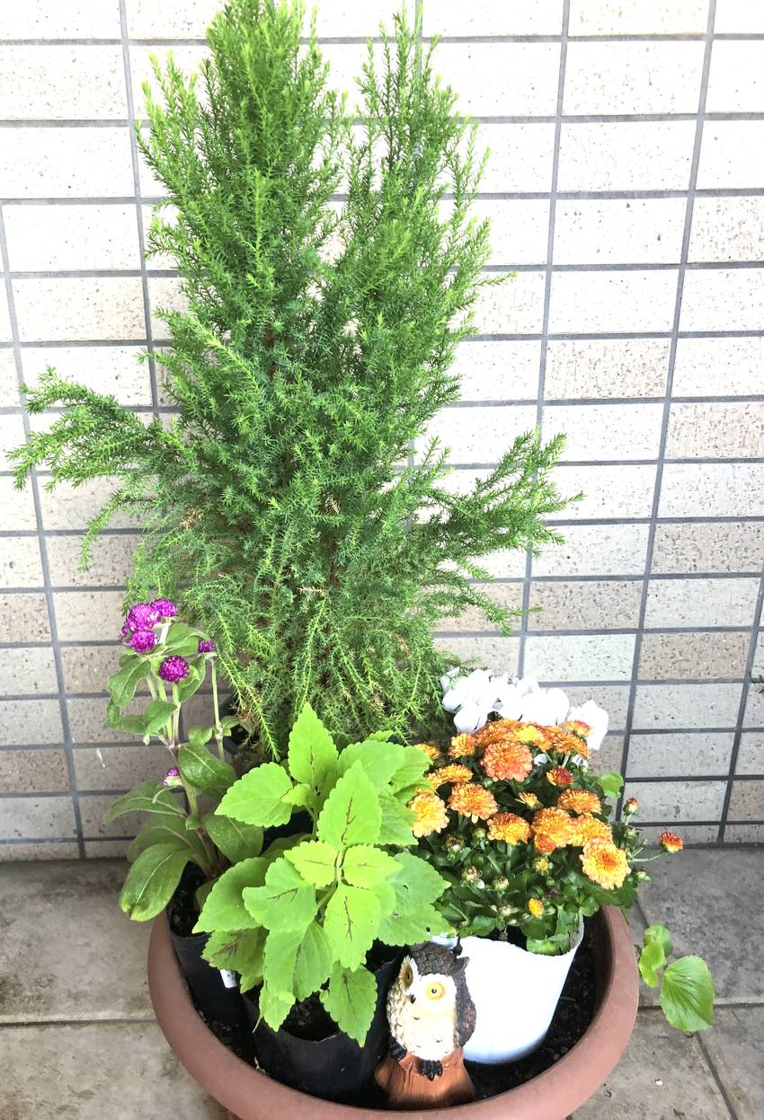 玄関のお花　9/27/2023