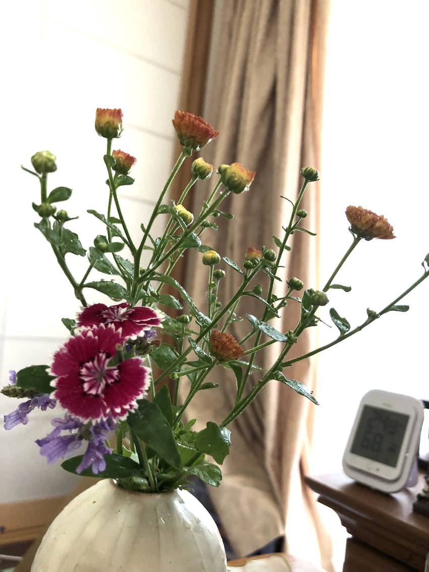 リビングのお花=庭のお花　6/...