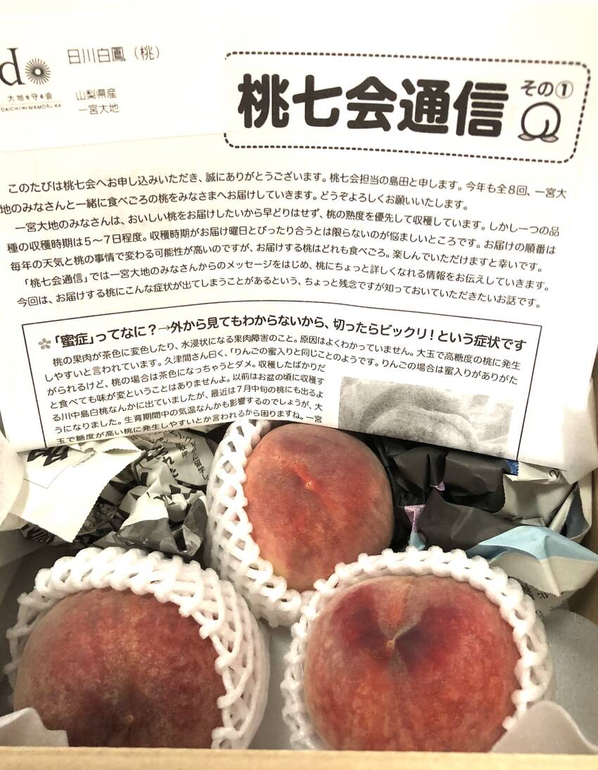 初桃❣️ 6/28/2024