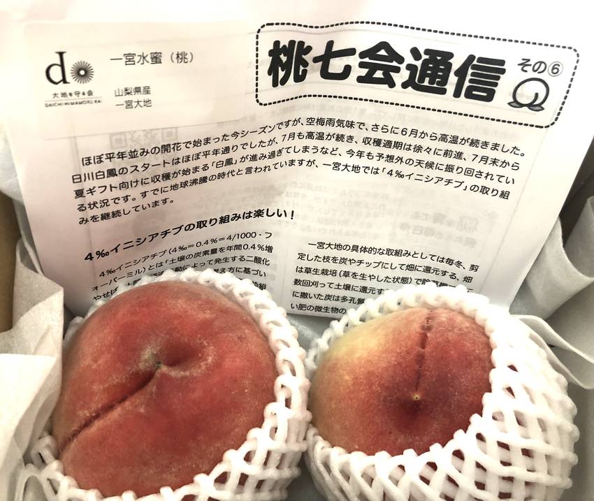 6回目の桃は「一宮水蜜」　8/...