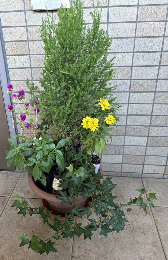 玄関のお花　9/18/2024