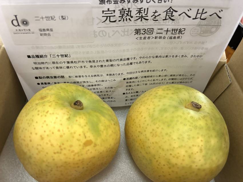 3回目の梨は二十世紀❣️ 9/...