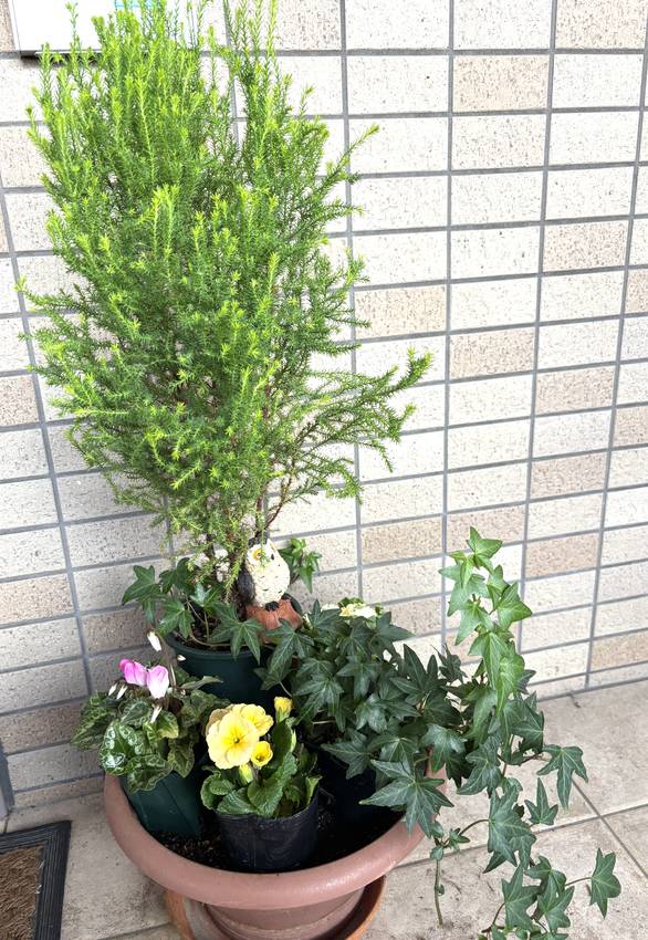 玄関のお花　1/22/2025