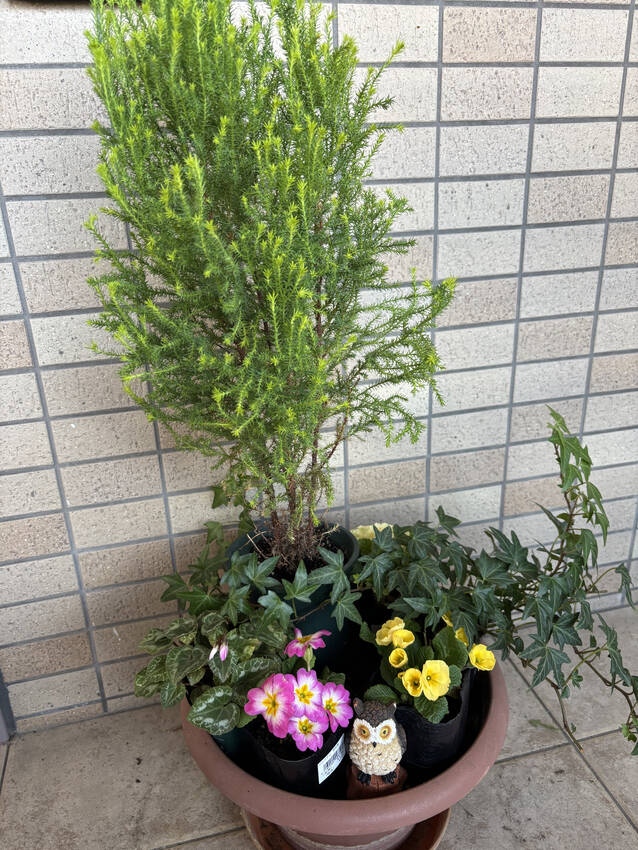 玄関のお花　2/21/2025