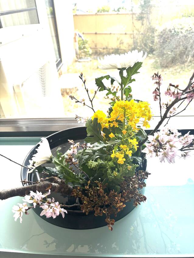 今日の生花　3/25/2025