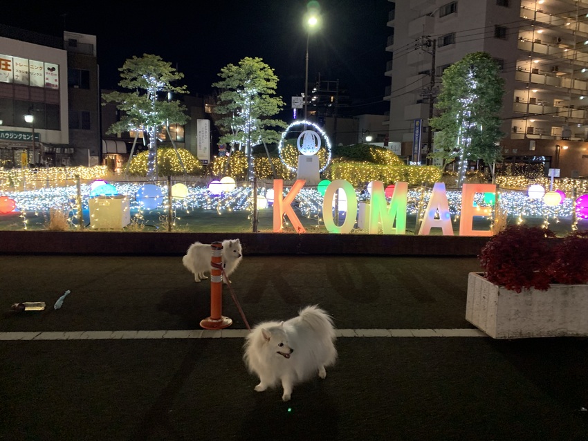 狛江駅のライトアップ