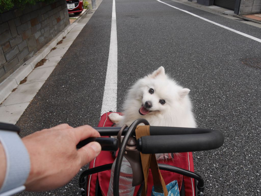 梅雨入り‥しない