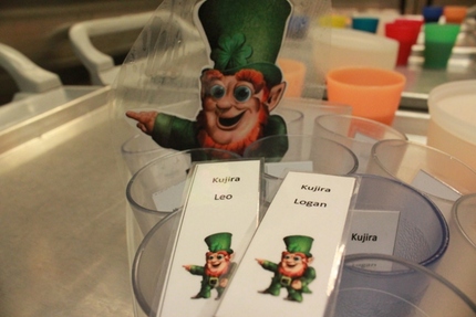 Leprechaun