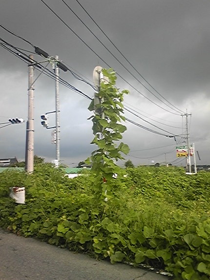 気になる＜標識＞。。。。パクリ...