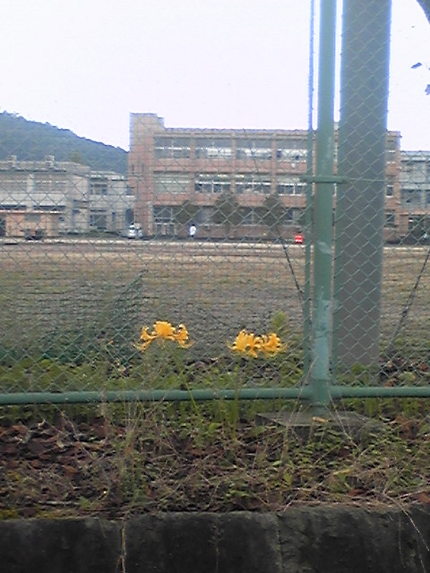 迷子になってakikoさんとこ...