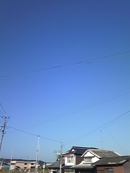 おはよう( ゜▽゜)/