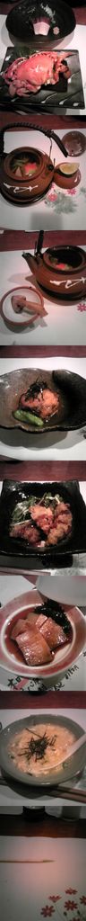 先日の鯨